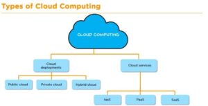 Fig 1.1.3: Types and sub-types of cloud computing